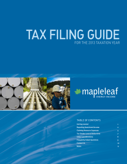 Download PDF Tax Filing Guide 2013