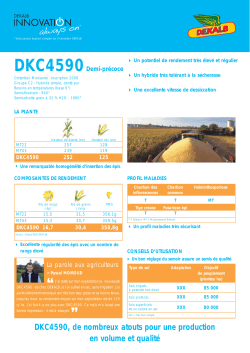 DKC4590, de nombreux atouts pour une production en volume et