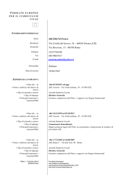 Dr. Menduni Paolo - Curriculum