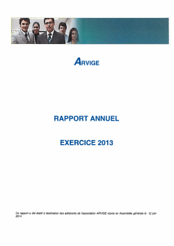 RAPPORT ANNUEL EXERCICE 2013