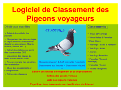 Classements - Pigeon voyageur