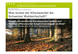 Was kostet der Klimawandel die Schweizer Waldwirtschaft? - WSL
