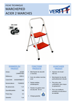 FICHE TECHNIQUE 2 MARCHEPIEDS