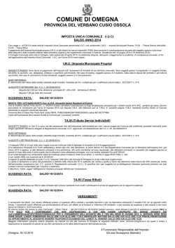 IUC Manifesto Saldo 2014