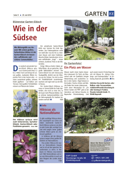 Wie in der Südsee - Sonntag in Franken E-Paper