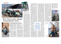 Wie Tiere einer längst vergangenen Zeit - Stephan Käufer