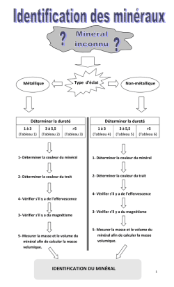 IDENTIFICATION DU MIN&Eacute;RAL