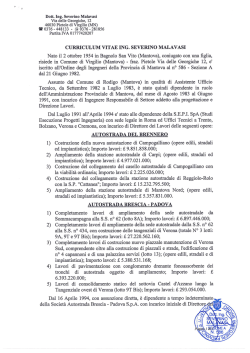 Curriculum vitae Ing. Malavasi Severino