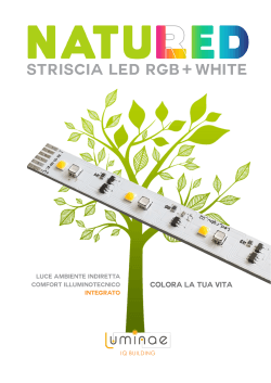 STRISCIA LED RGB WHITE