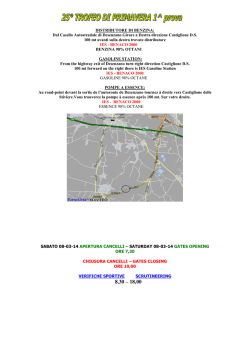 DISTRUBUTORE DI BENZINA: