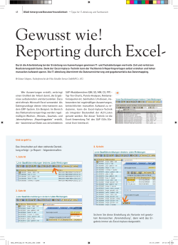 Gewusst wie! Reporting durch Excel- - Über DSAG