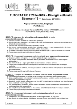 Séance n°6