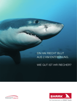 EIN HAI RIECHT BLUT AUS 2 KM ENTFERNUNG. WIE - SHARK