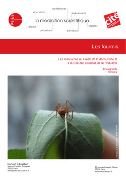 Dossier enseignants - Les fourmis