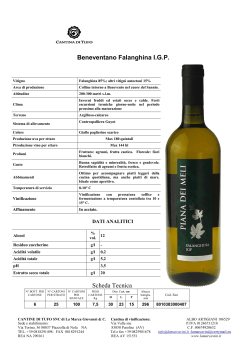 Download the brochure in PDF Benevento Falanghina IGP
