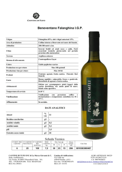 Download the brochure in PDF Benevento Falanghina IGP