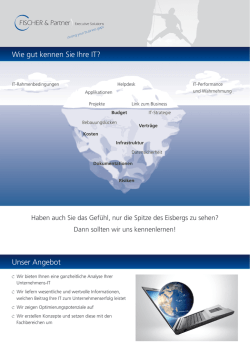Unser Angebot Wie gut kennen Sie Ihre IT? - FISCHER & Partner