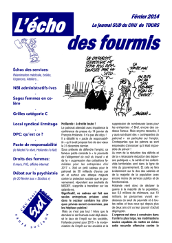 &eacute;cho CHU f&eacute;vrier 2014 - SUD Sant&eacute; Sociaux 37