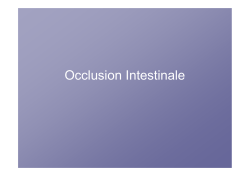 Occlusion Intestinale - ifsi angers promotion 2013-2016