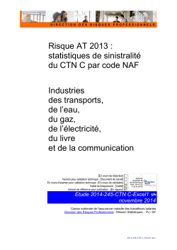 Risque AT 2013 : statistiques de sinistralité du CTNC par code NAF