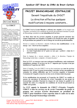 H &ocirc;pita l d e la ca va le b la nch e