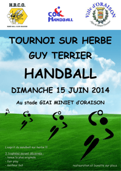 fiche inscription tournoi guy terrier 15 juin 2014