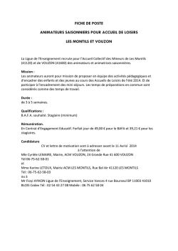 fiche de poste animateurs saisonniers pour accueil de loisirs les