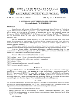 IL RESPONSABILE DEL SETTORE POLITICHE DEL TERRITORIO