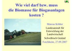 Wie viel darf bzw. muss die Biomasse für Biogasanlagen kosten ?