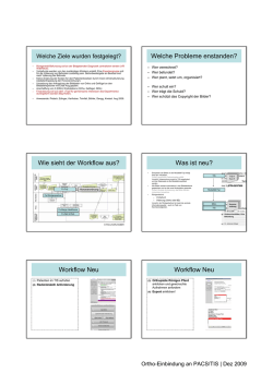 Welche Probleme enstanden? Wie sieht der Workflow aus? Was ist