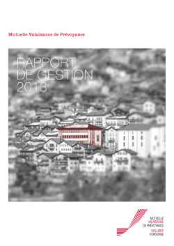 MVP - Rapport de gestion 2013 - PDF