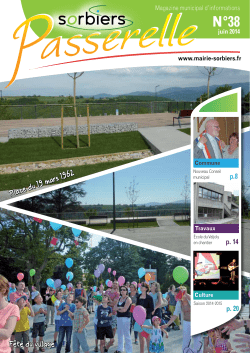F&ecirc;te du village