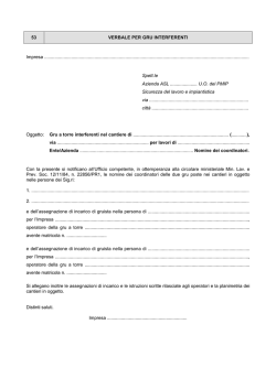 53 VERBALE PER GRU INTERFERENTI Impresa