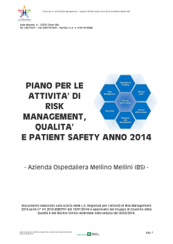 2014 Piano Attività Risk Management