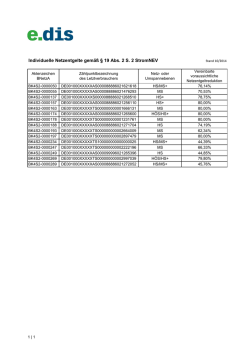 Individuelle Netzentgelte gemäß § 19 Abs. 2 S. 2 StromNEV - E.dis