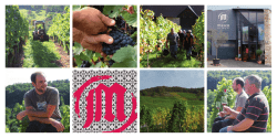Download - Weingut Maier