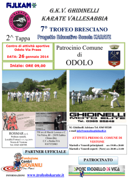 g.k.v. ghidinelli karate vallesabbia