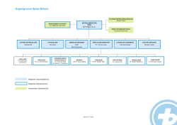 Detailliertes Organigramm herunterladen - Spital Bülach