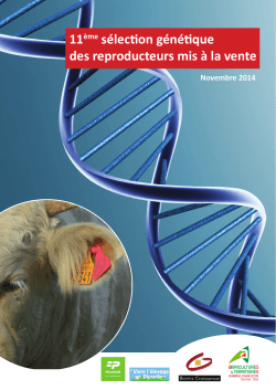 11ème sélection génétique des reproducteurs mis à la vente