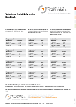 Technische Produktinformation Bandblech - Salzgitter Flachstahl