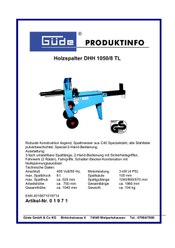 Holzspalter DHH 1050/8 TL - Gartentechnik.com