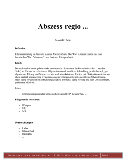 PDF im gro&szlig;en Format KLICK HIER = Abszess - medwissen