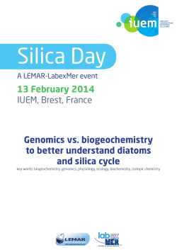 Silica Day Programme.indd