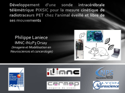Philippe LANIECE projet PIXSIC (bilan et perspectives)