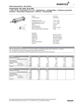 Profilzylinder, ISO 15552, Serie PRA - AVENTICS