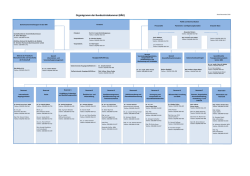 Organigramm der Bundesärztekammer (Ansprechpartner) [PDF]