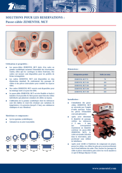 zementol mct