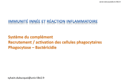 Effecteurs cellulaires