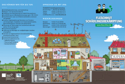 Download Image-Flyer - Fleschhut