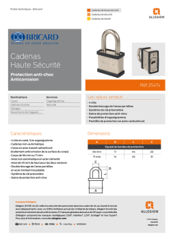 Fiche produit cadenas antichoc